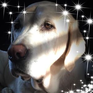 Meet your Posher, Leslie